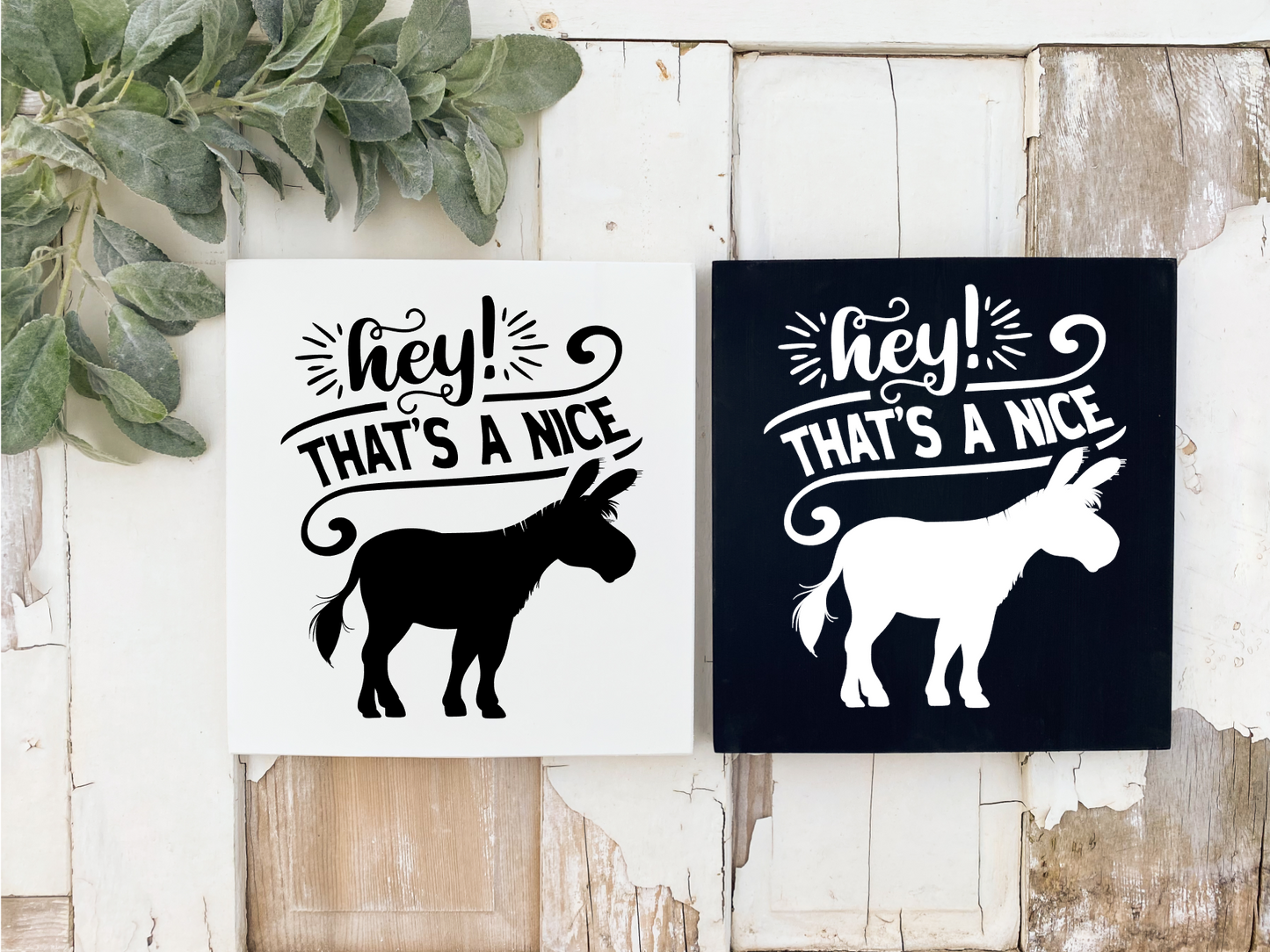 Hey that's a nice....