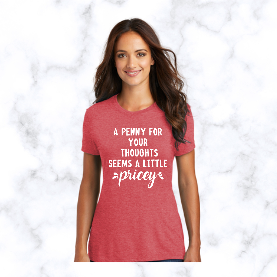 A penny for your thoughts seem a bit pricey t-shirt (red frost)