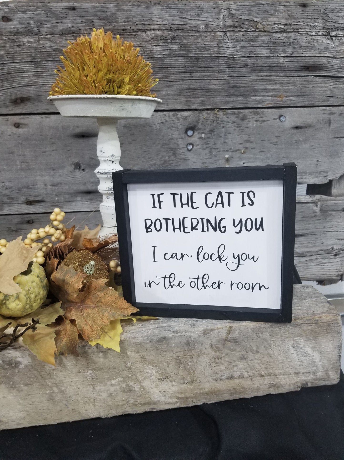 If the cat is bothering you