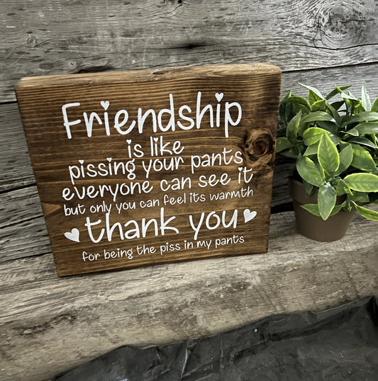 A wooden sign with the phrase 'Friendship is like pissing your pants everyone can see it but only you can feel the warmth thank you for being the p*** in my pants' written in white, set on a rustic wooden background with a potted plant beside it.