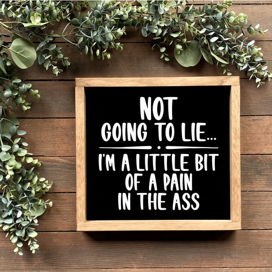 Not going to lie I'm a little bit of a pain in the ass sign