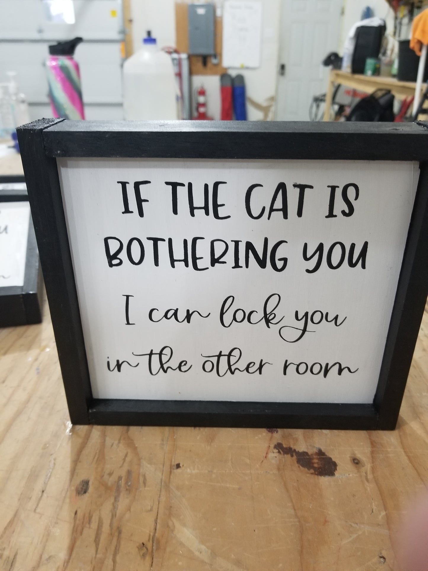 If the cat is bothering you